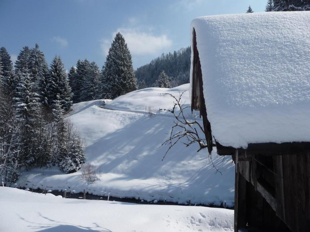 Gaestehaus Schmid Obermaiselstein Exterior photo